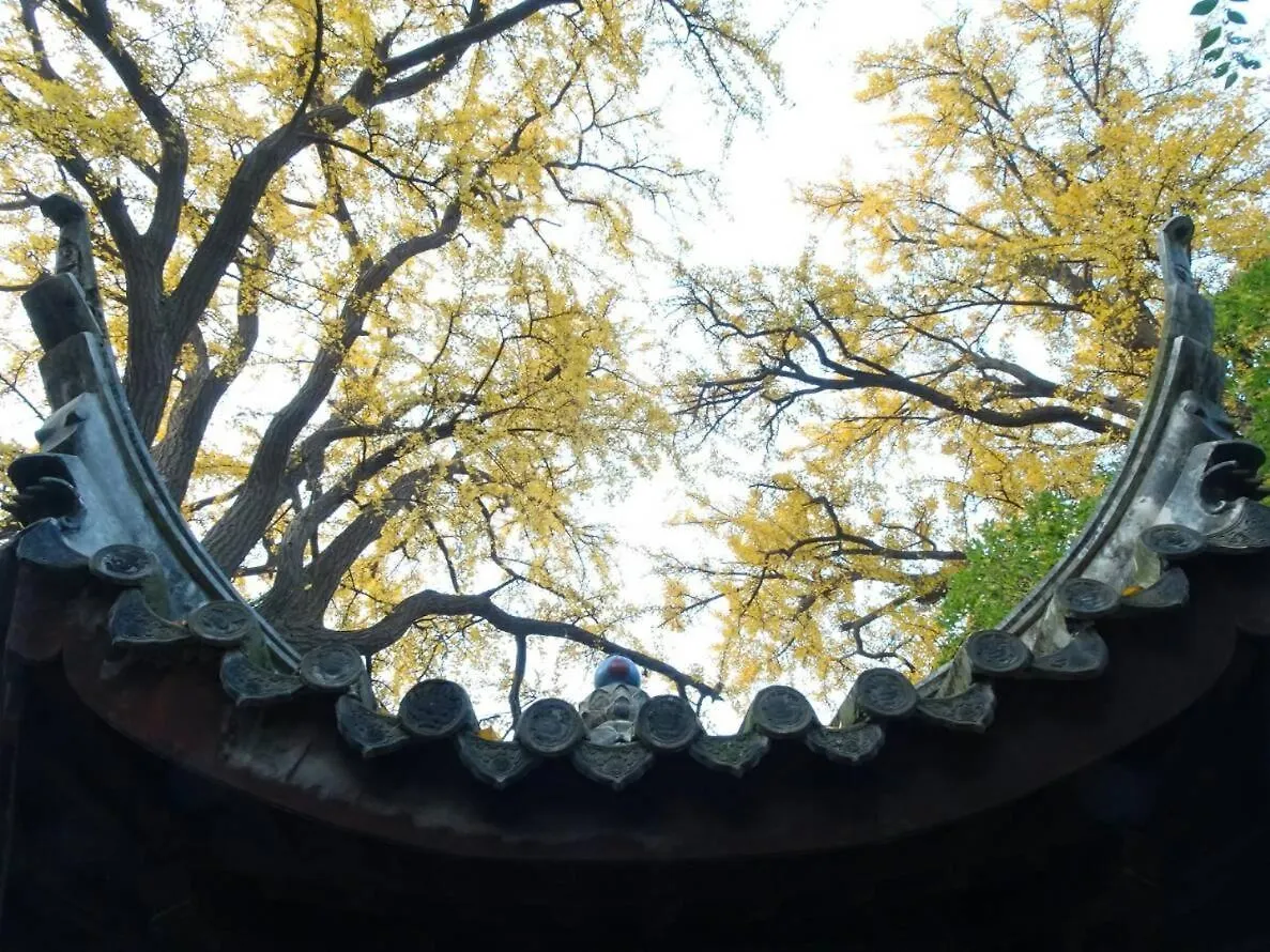 Suzhou Blue Gate Youth Hostel Suzhou (Jiangsu)